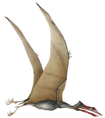  Quetzalcoatlus! Een levensgrote vliegende hagedis met vleugels zo groot als een klein vliegtuig