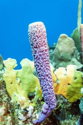 Tube Sponge: Een kleurrijke onderwaterarchitect met een verborgen talent voorfiltering!